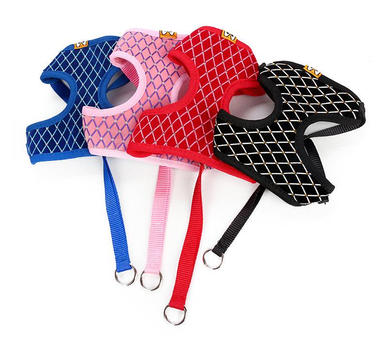 Pet Walk Pro Leash-2