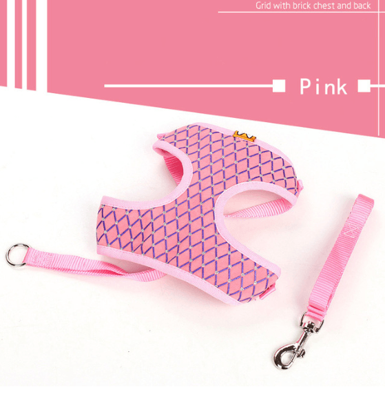 Pet Walk Pro Leash-5