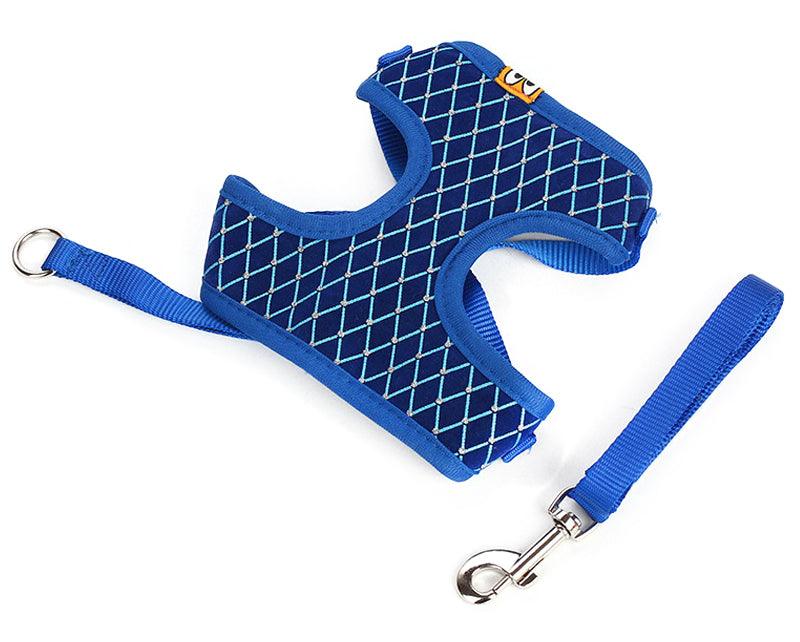 Pet Walk Pro Leash-3
