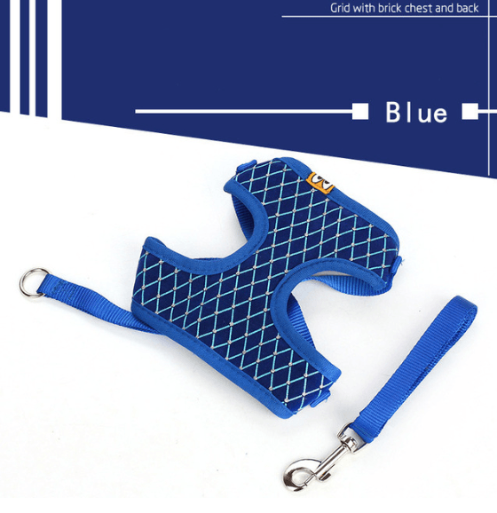 Pet Walk Pro Leash-6