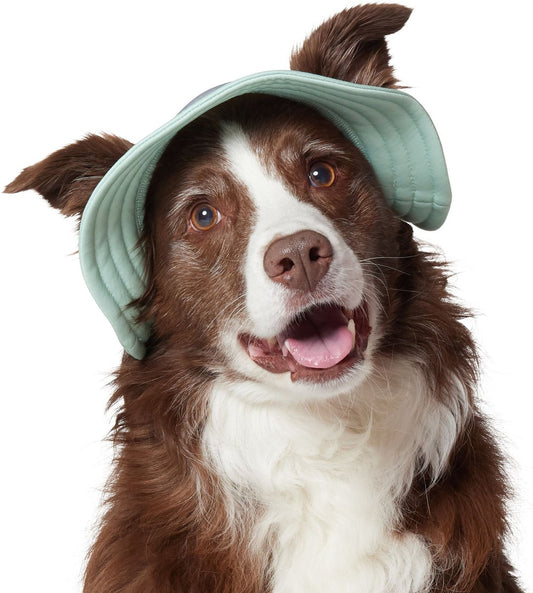 Dog Hat